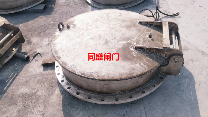 成都不锈钢拍门